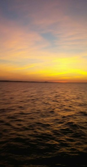 20150404_191754_Pano.jpg