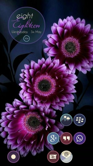 uploadfromtaptalk1430965568305.jpg