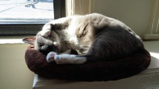 20150426_095909.jpg