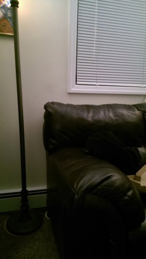 IMAG4427.jpg
