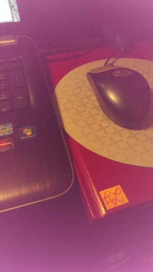 IMAG4302.jpg