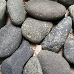 4699.jpg