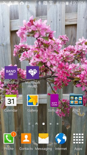Screenshot_2015-05-08-16-00-47[1].jpg