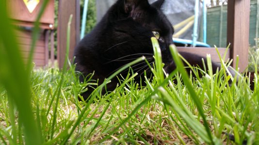 20150416_153944.jpg