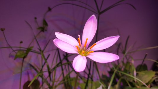 20150427_194955.jpg