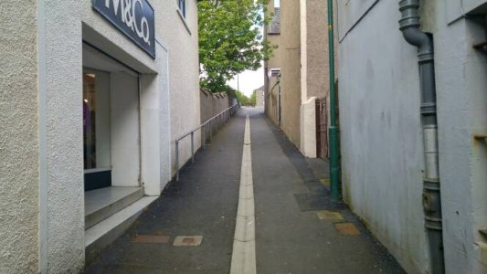5390.jpg