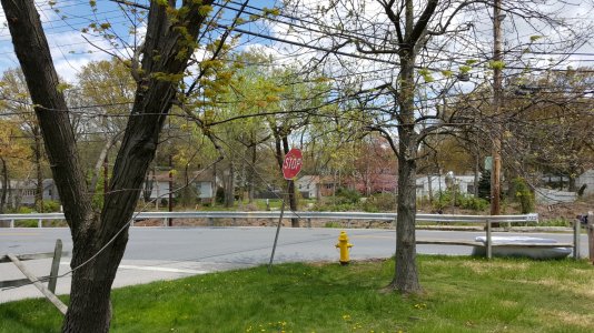 S6-outdoor-scene.jpg