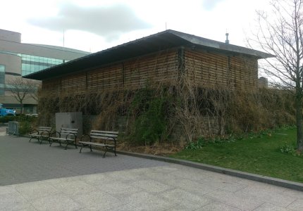 IMAG0033.jpg