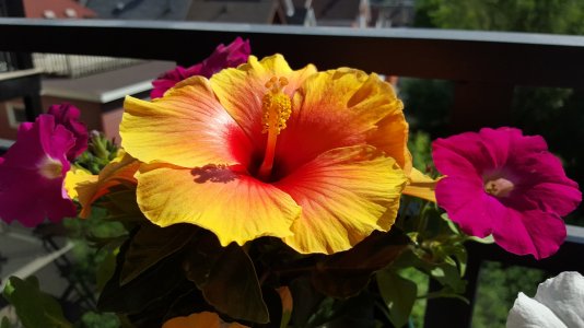 20150530_095903.jpg