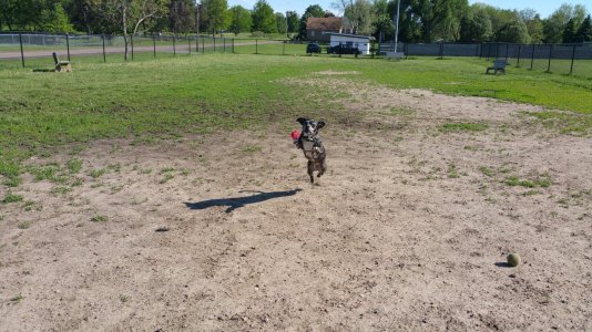 20150530_165955_009.jpg