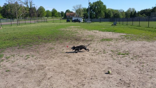 20150530_170007_002.jpg