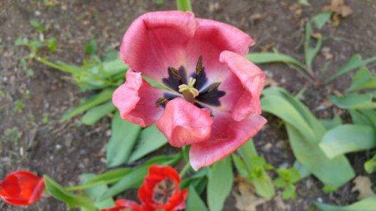 20150507_082930.jpg