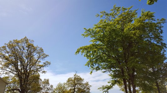 20150523_121722.jpg