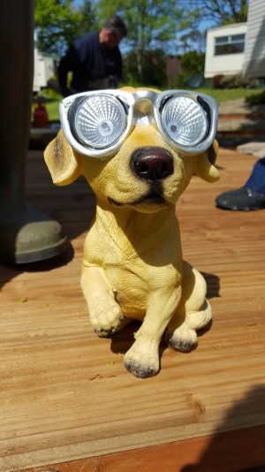 20150523_121943.jpg