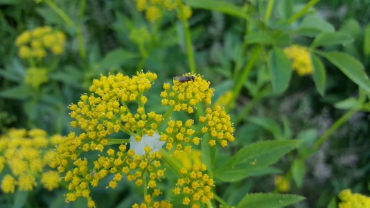 20150528_191005.jpg