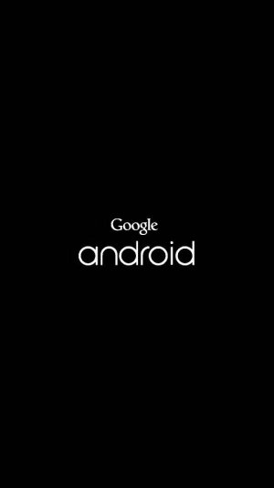 lh5.googleusercontent.jpg