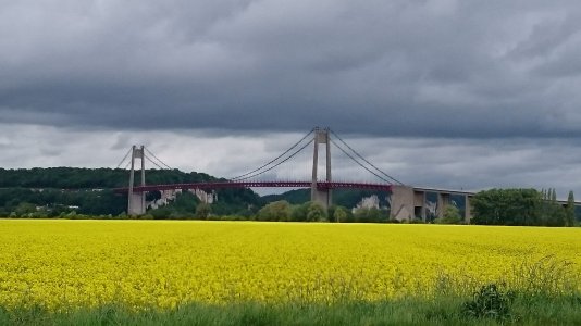DSC_0124.jpg