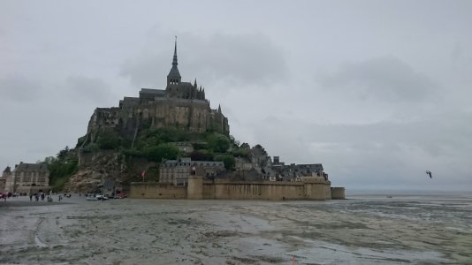 DSC_0035.jpg