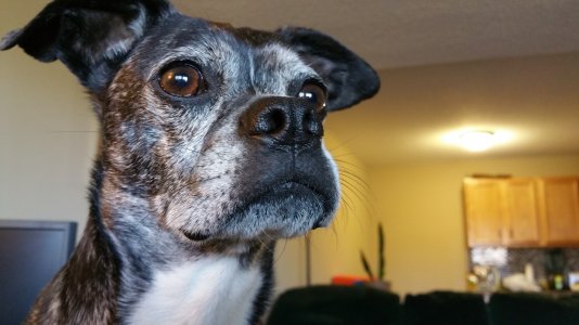 20150426_150903.jpg