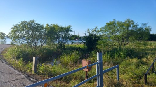 Stop Sign Water.jpg