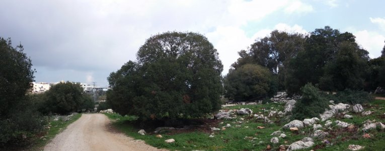 PANO_20141227_112349.jpg