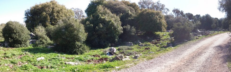 PANO_20150124_112957.jpg
