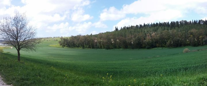 PANO_20150228_122512.jpg