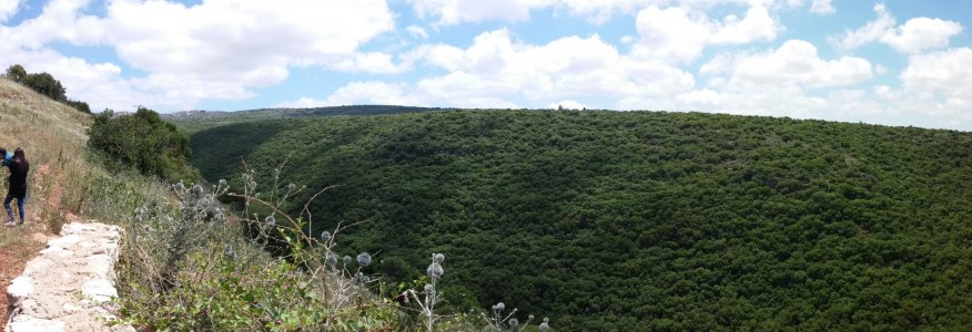PANO_20150502_124732.jpg
