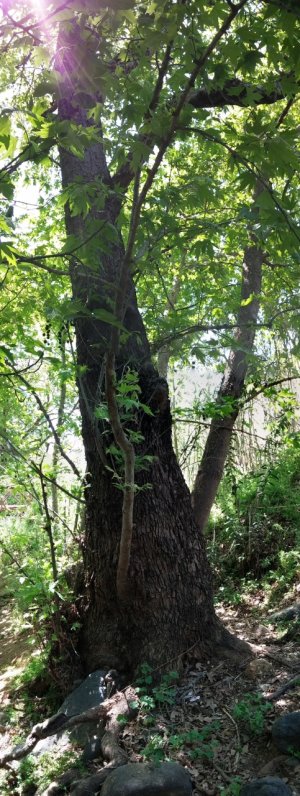 PANO_20150405_130255.jpg