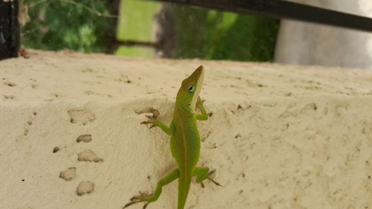20150516_160348.jpg