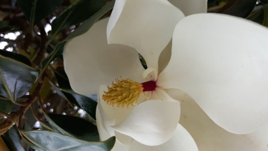 20150516_144703.jpg