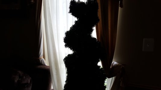 20150603_164648.jpg