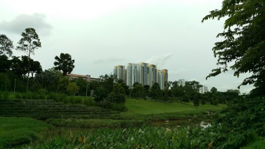 IMAG0007.jpg