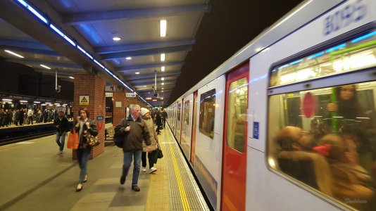 16891215992_ef5a2e1d97_k_d.jpg