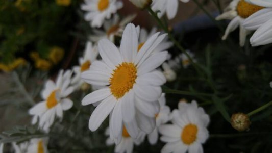 4922.jpg