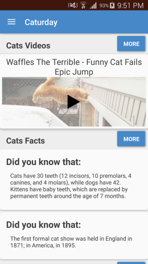 cats1.png cats1.png