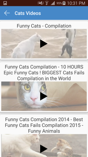 cats5.png cats5.png
