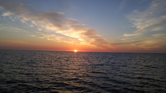 0605150636c.jpg