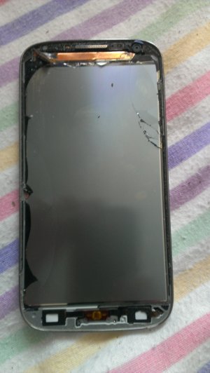 IMAG0003.jpg