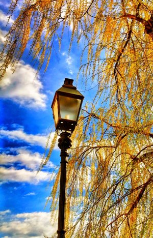 20150408_162058_HDR_1.jpg