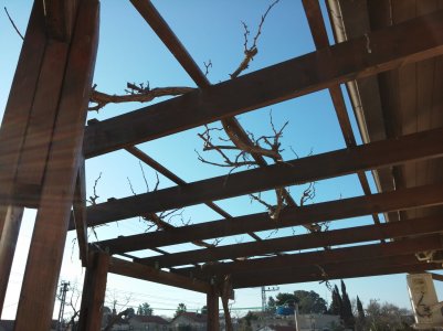 20150314_070437.jpg