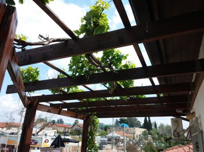 20150410_143238.jpg