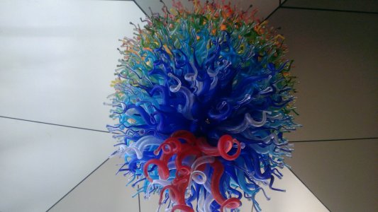 IMAG0491.jpg