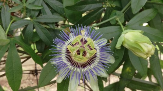 IMAG0357.jpg
