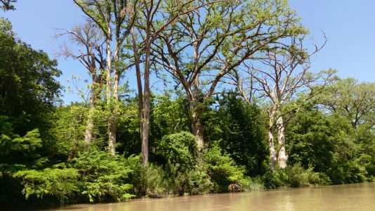 IMAG0386.jpg