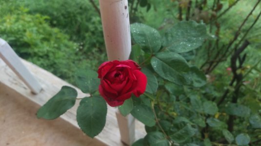 IMAG0342.jpg