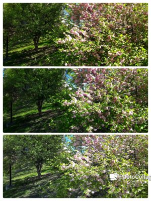 20150520_121759.jpg