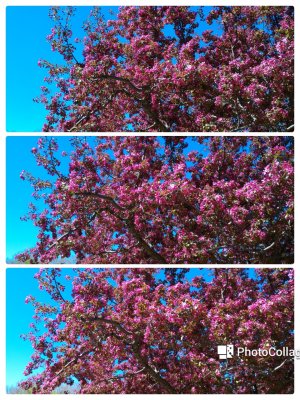 20150520_121729.jpg