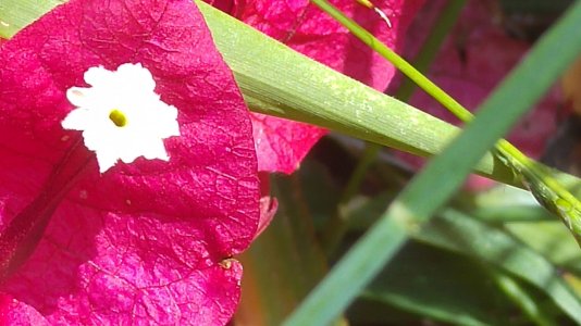 20150606_141051.jpg