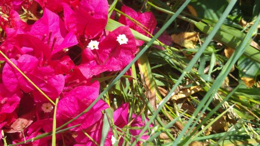 20150606_141115.jpg